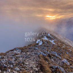 ALT immagine galleria 02